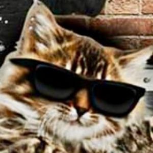 Meet your Posher, Layla